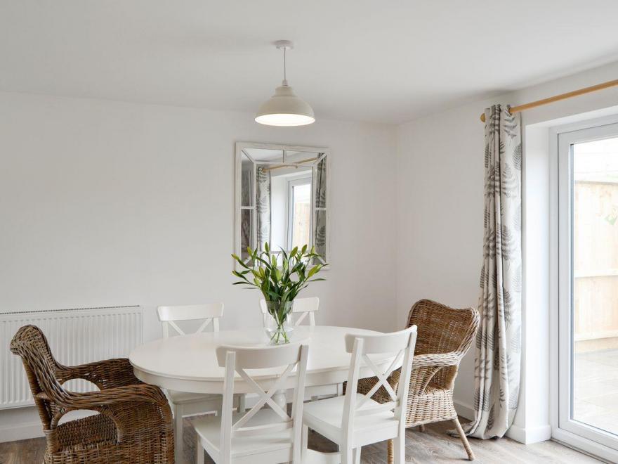 Sea Biscuit  - UKC2493