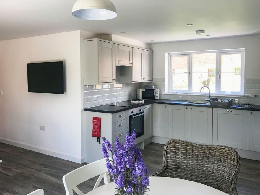 Sea Biscuit  - UKC2493