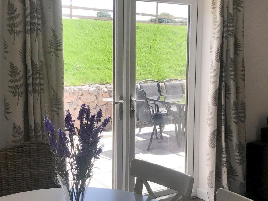 Sea Biscuit  - UKC2493