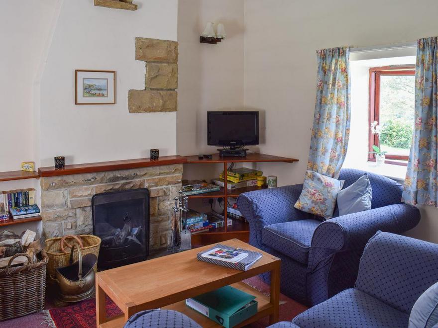 Silver Birches - W43151