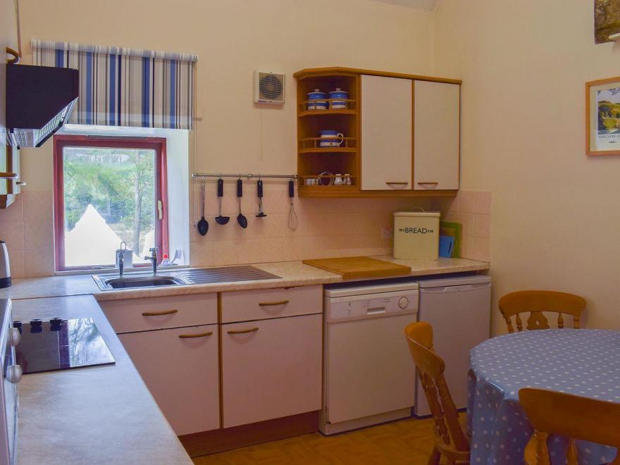 Silver Birches - W43151