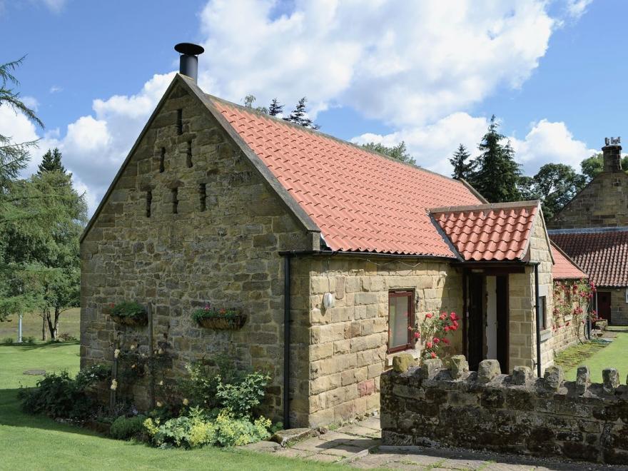 Silver Birches - W43151