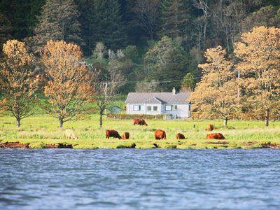 Forest Cottage - SRY