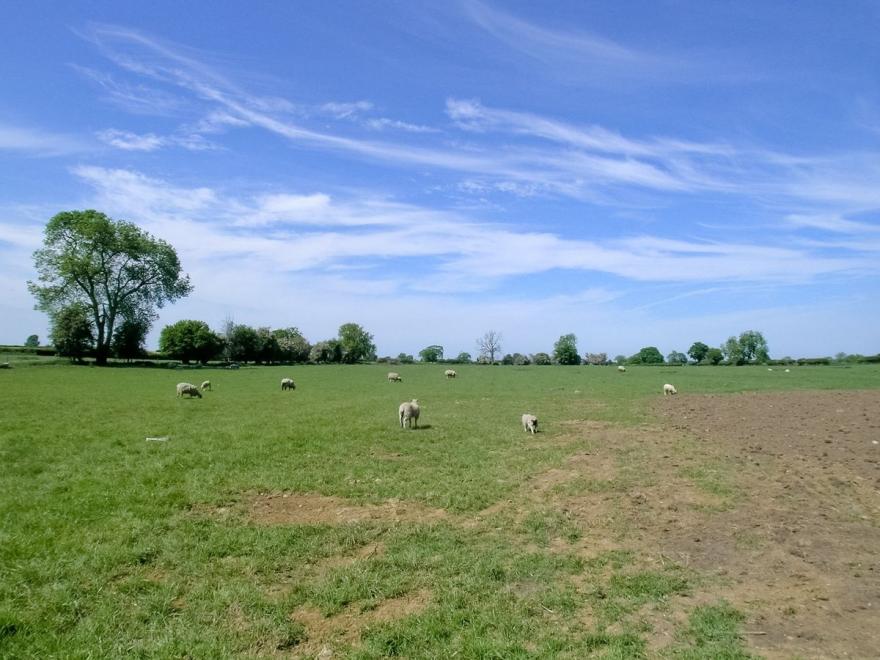 Obed Hussey's Cottage-25898