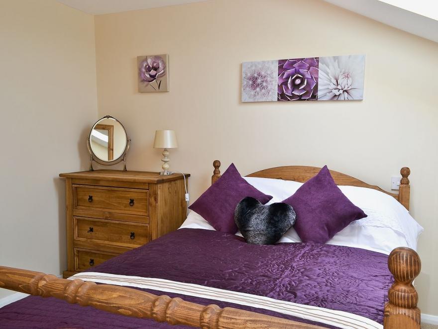 The Swallows - 28835