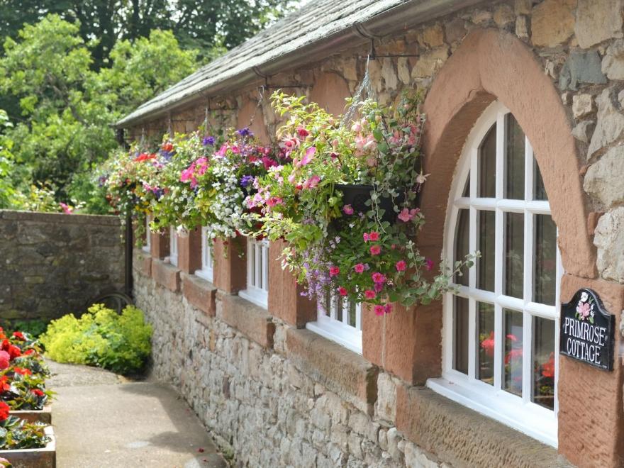 Primrose Cottage - LPG