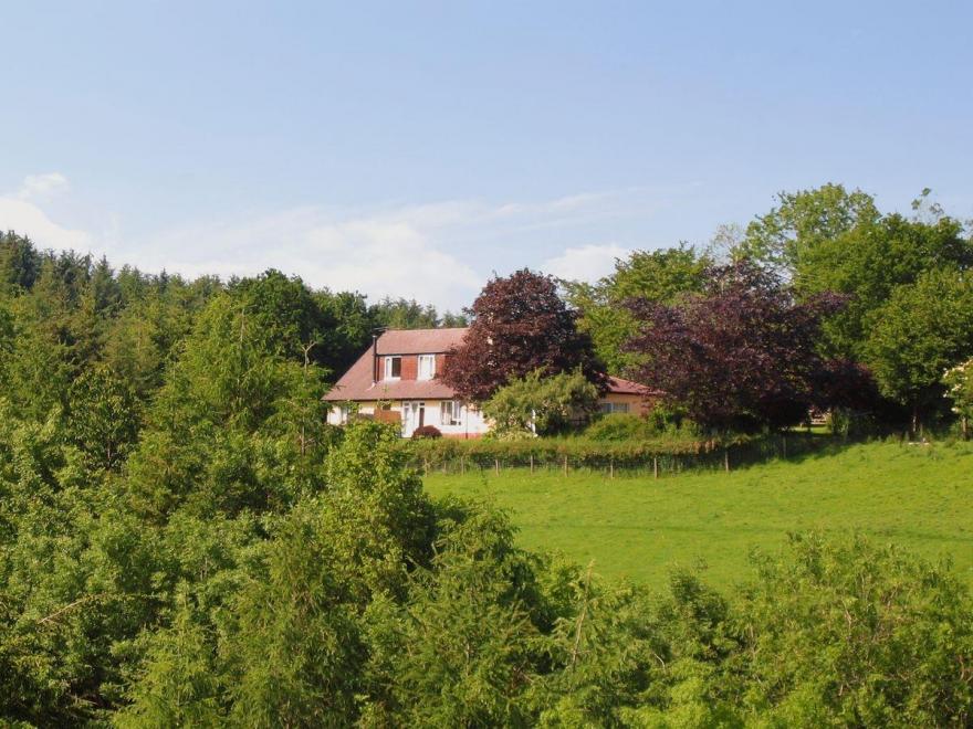 Woodland Hideaway - UKC2964