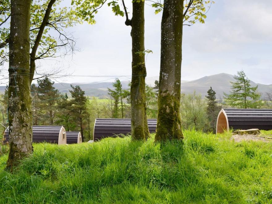 Coombe Beck Lodge - UK1309