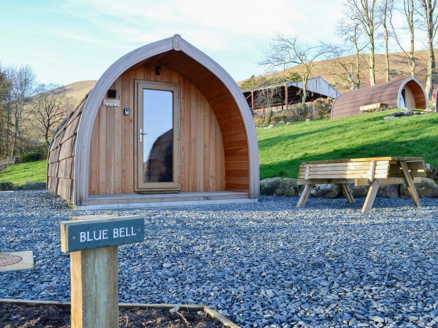 Bluebell Lodge - UK1311