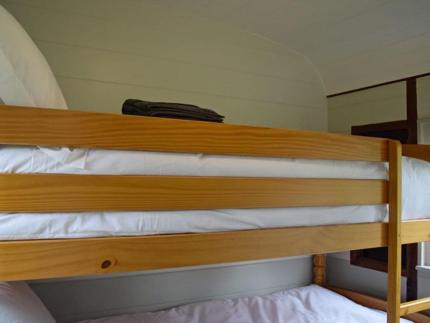 Italian Carriage-UKC3492