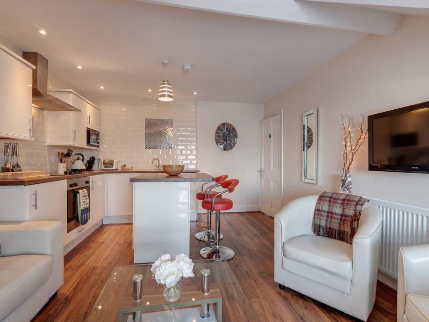 The Starfish - Harbour Lights