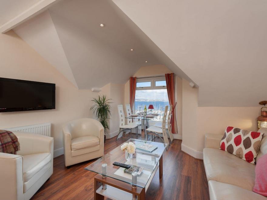 The Starfish - Harbour Lights