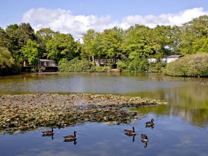 Haytor Lodge - 9 Indio Lake