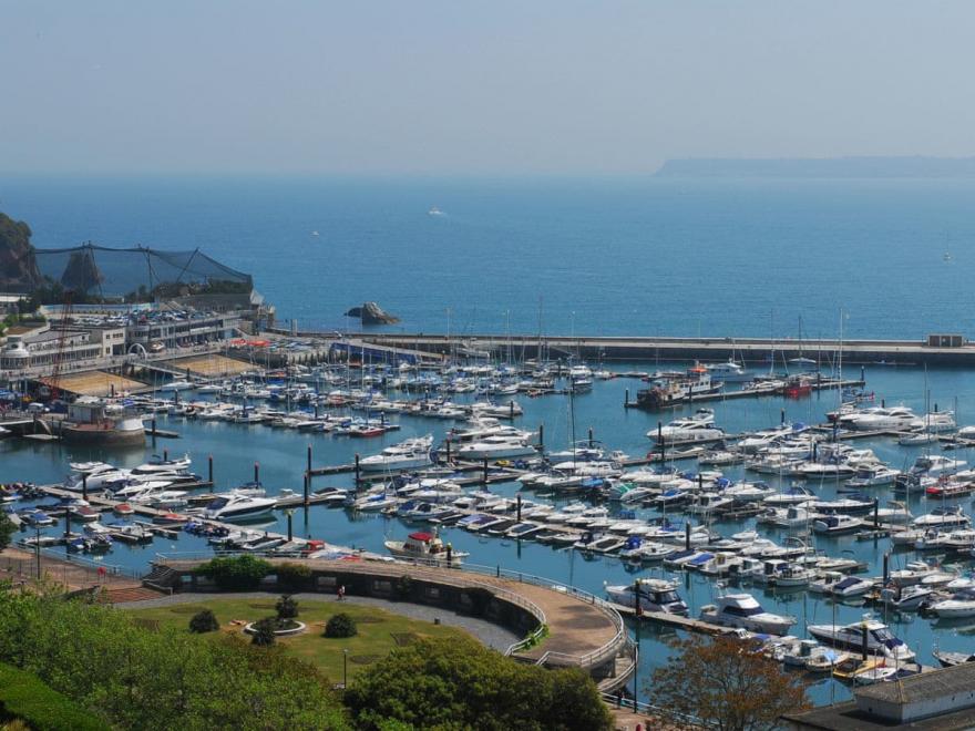 Tree Tops - A4 Masts