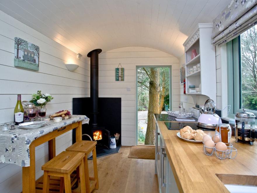 Jasmine - Melody Farm