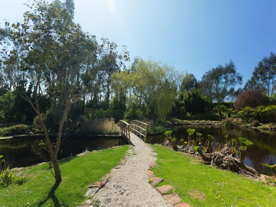 Jasmine - Melody Farm