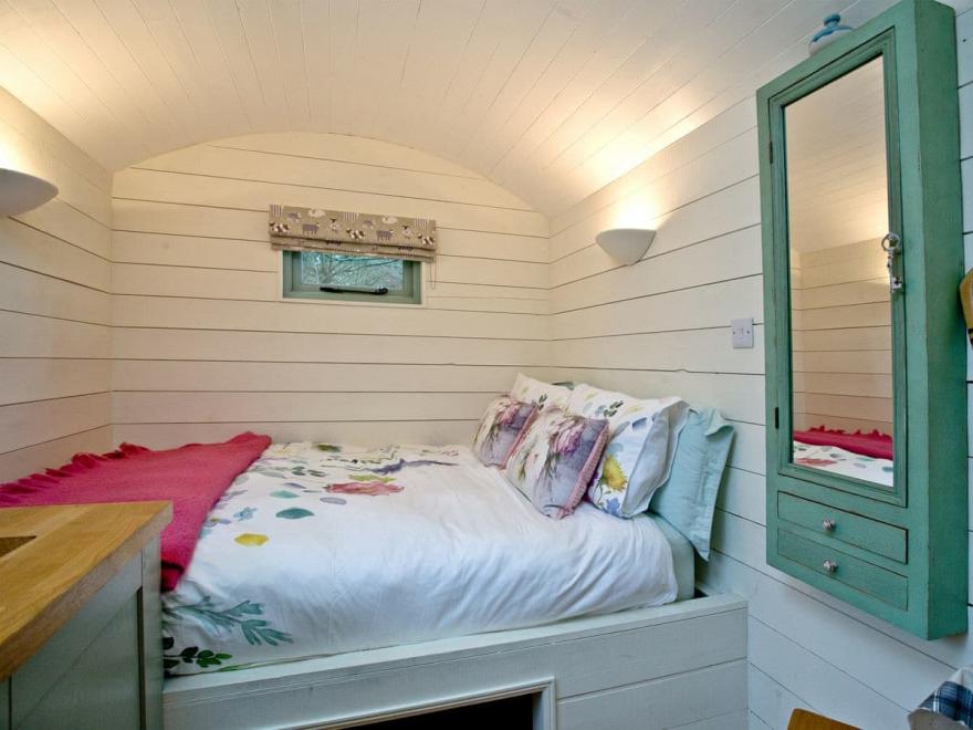 Jasmine - Melody Farm