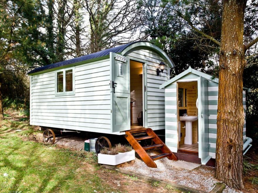 Jasmine - Melody Farm