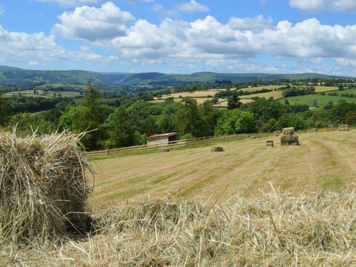 Barn Owl Lodge - Oakwood Lodges