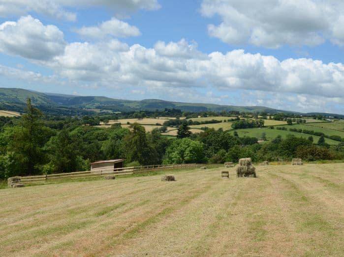 Eagle Owl Lodge - Oakwood Lodges