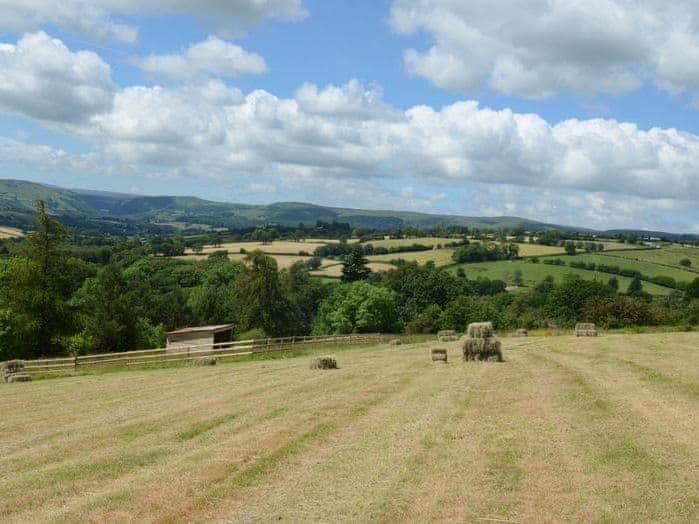 Falcon Lodge - Oakwood Lodges