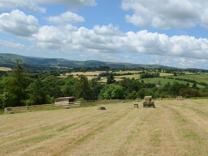Merlin Lodge - Oakwood Lodges