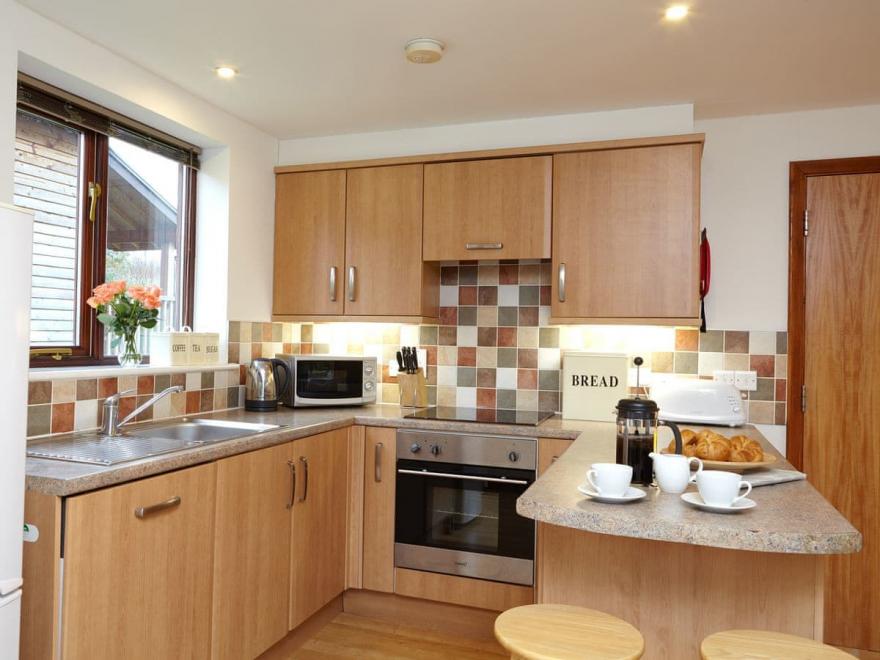 Kingfisher - The Water Mill