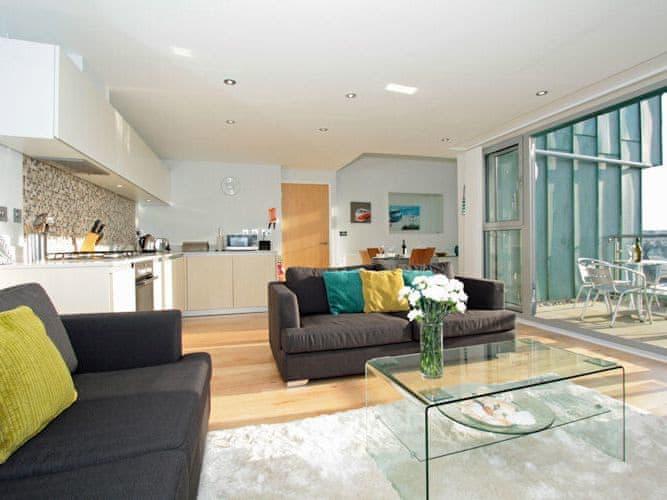 Fistral View - 51 Zinc