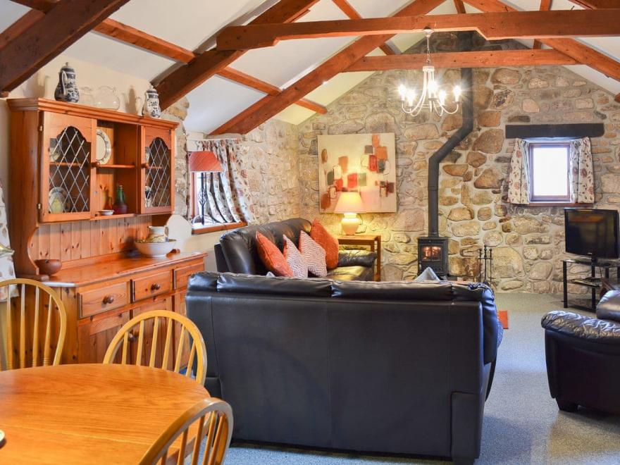 Penny Farthing - UK10419