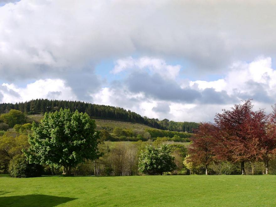 Kingfisher Apartment UK10595