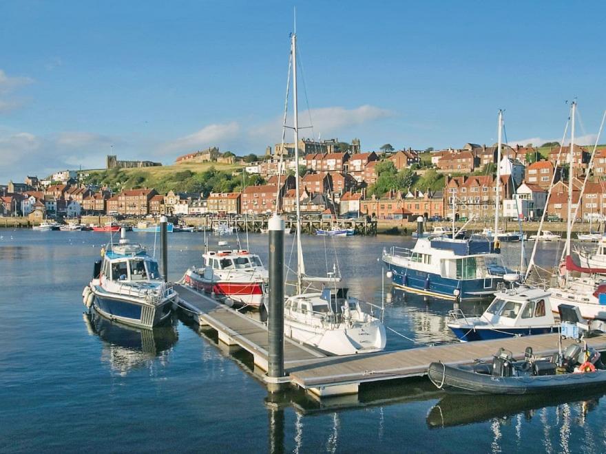 Garden View Apartment