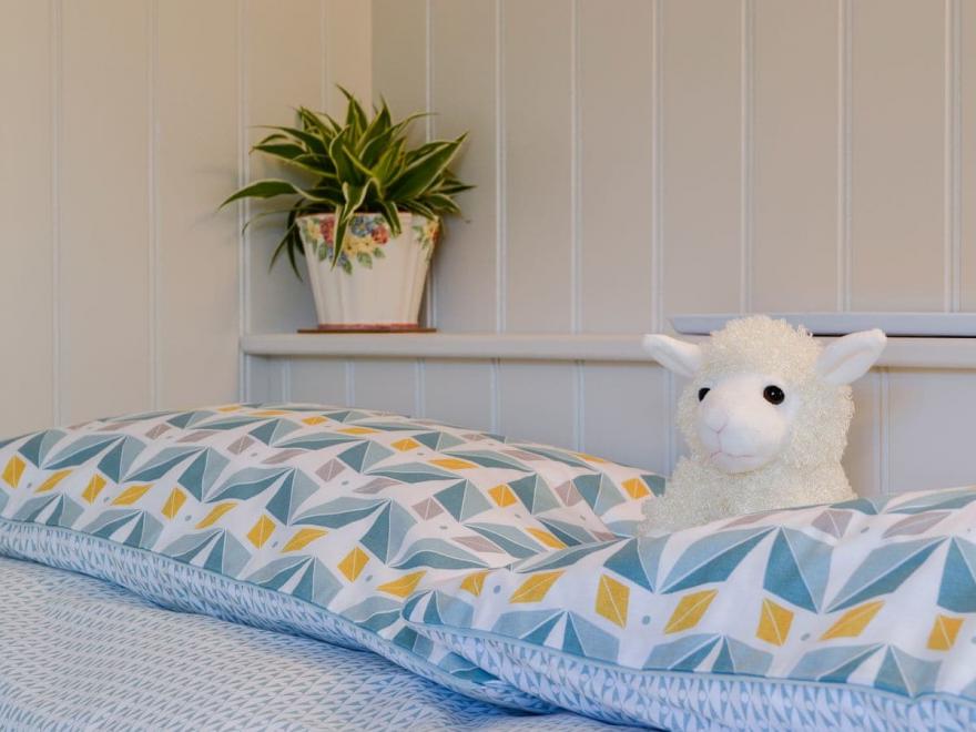 Lake View Shepherds Hut