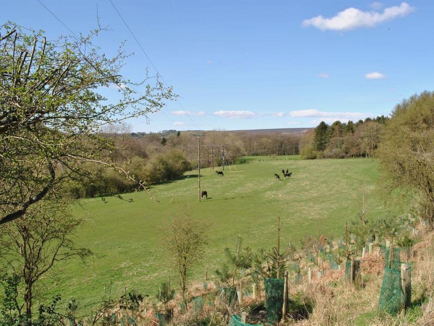 Cleveland Bay Cottage - UK2620