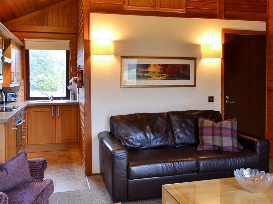 Aviemore Lodge - UK5978