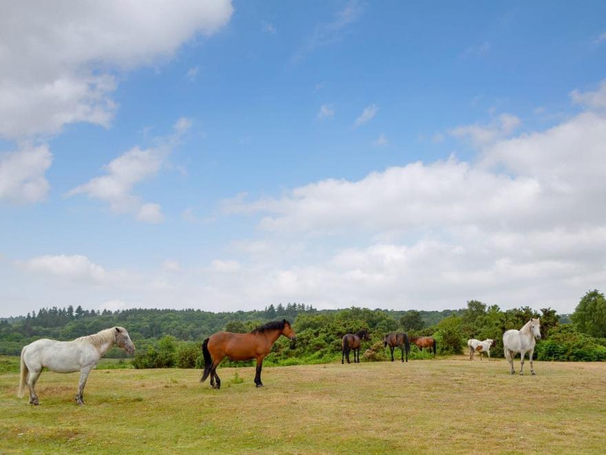 Marley Mount Cottage