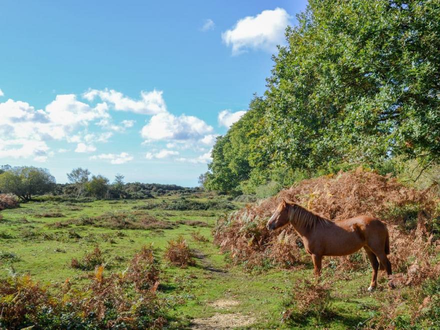 Marley Mount Cottage