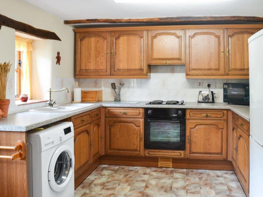 Honey Blossom - UKC3665