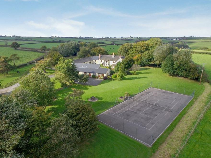 Honey Blossom - UKC3665