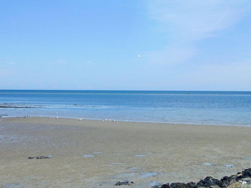 Corner Courtyard Suite