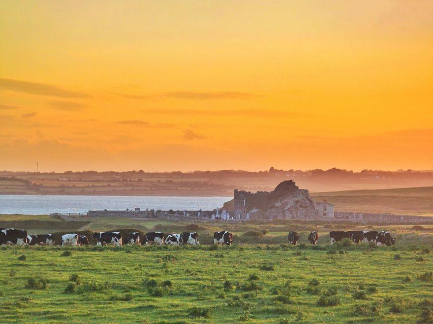 Bannow Bay Seaside Farm
