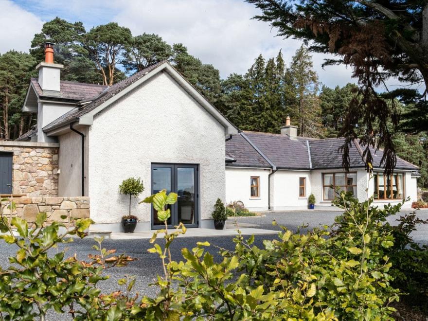 John's Dairy - W32364