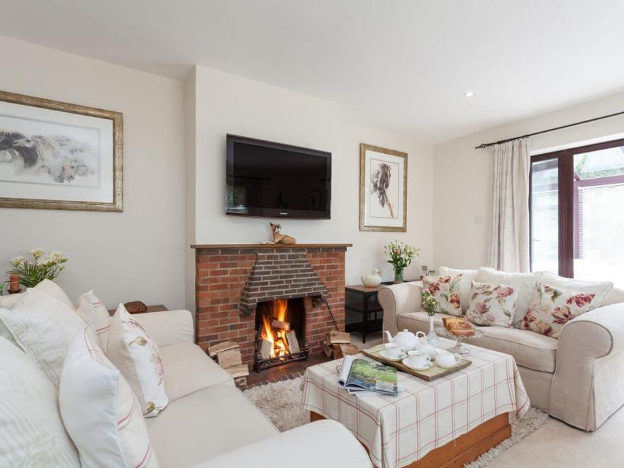 The Trees With Summer Breeze