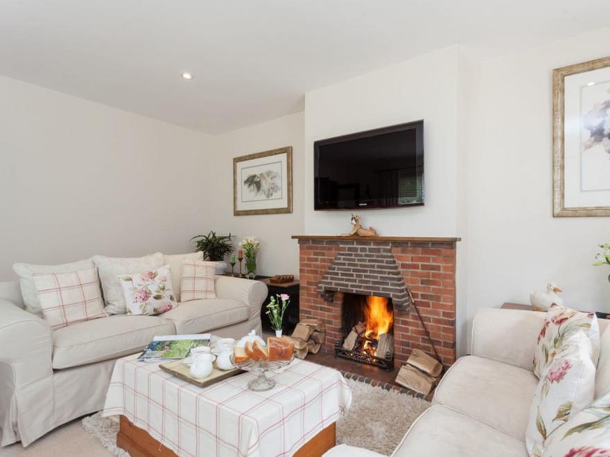 The Trees With Summer Breeze