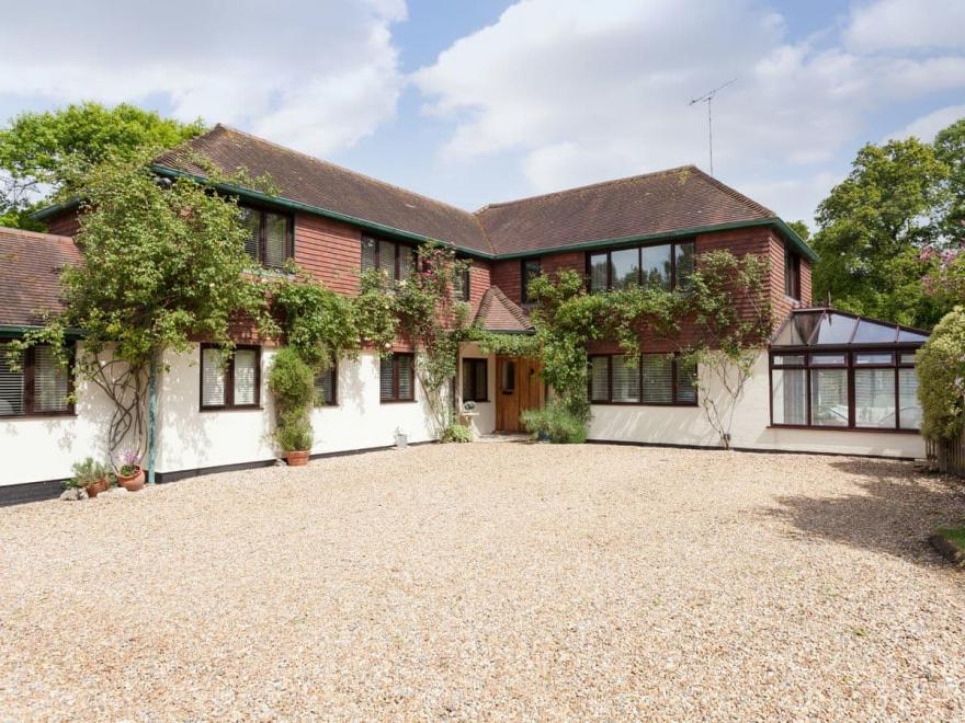 The Trees With Summer Breeze