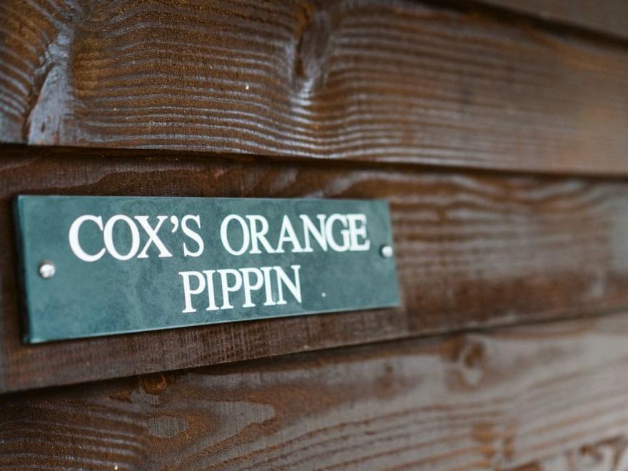 Cox's Orange Pippin