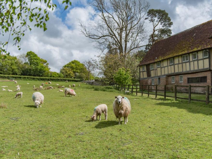Willow Cottage at Frame Farm