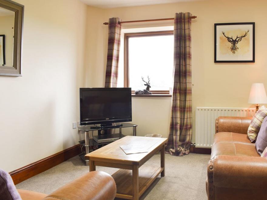 The Owl's Look Out - UK11543