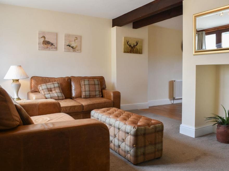 The Sand Martin - UK11544