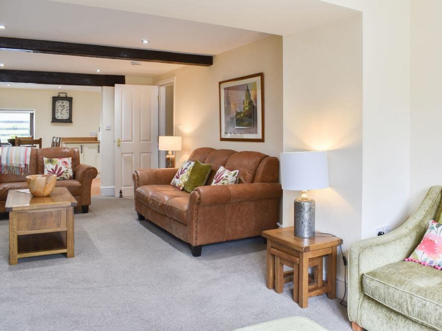 Lucky Duck - UK11547