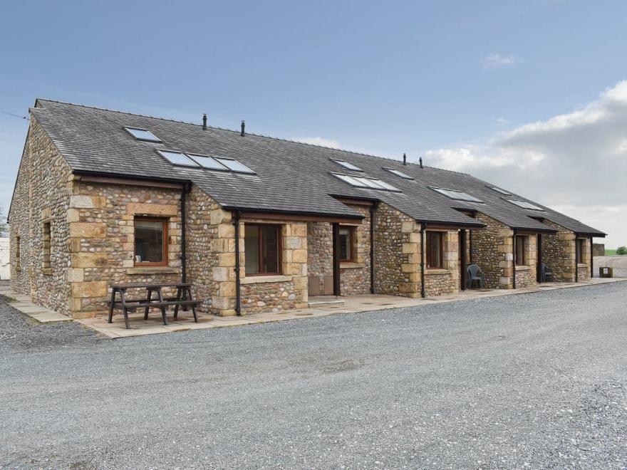 Cobbled Curlew - UK11549